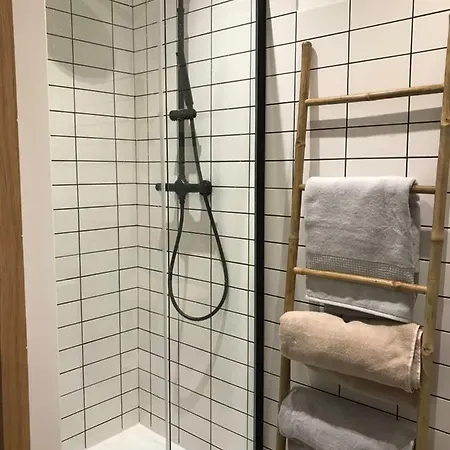 Apartment Plein Centre Ajaccio (Corsica)