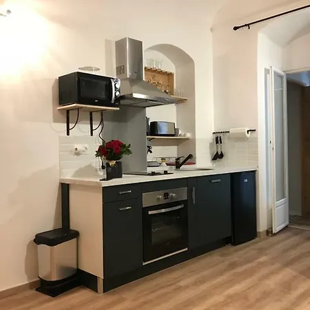 Apartament Plein Centre *