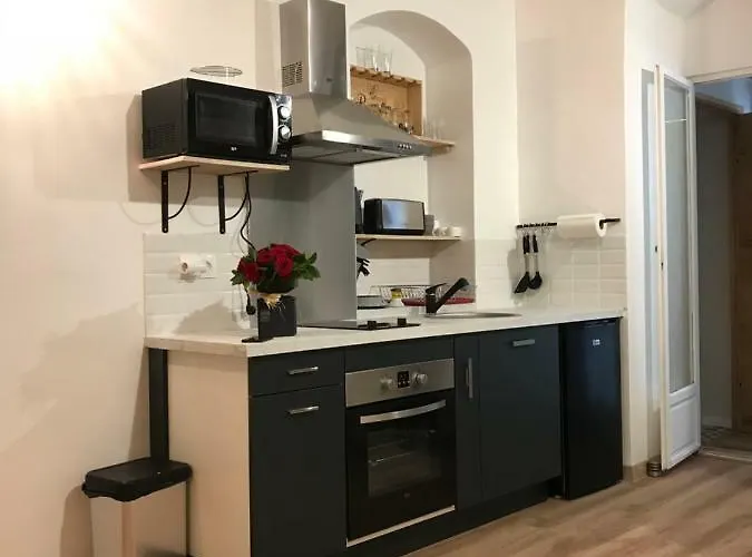 Apartment Plein Centre *